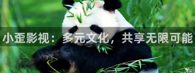 天堂影院在线亚洲：小歪影视：多元文化，共享无限可能